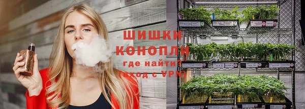 PSILOCYBIN Алзамай