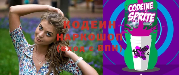 PSILOCYBIN Алзамай