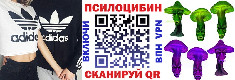 Псилоцибиновые грибы Psilocybine cubensis  Апатиты 