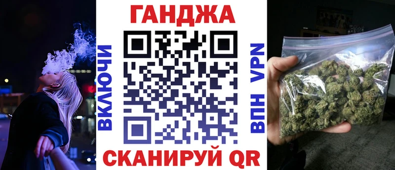 Конопля гибрид  Апатиты 